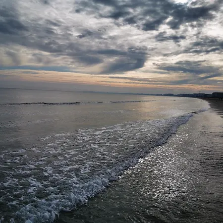 Max - Mamaia Nord
