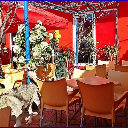 Max - Mamaia Nord Hostel Navodari