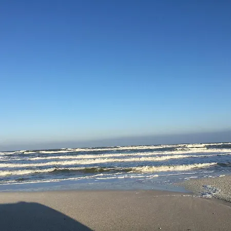 Max - Mamaia Nord * Navodari